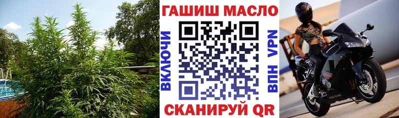 даркнет формула  Чадан  ТГК жижа 