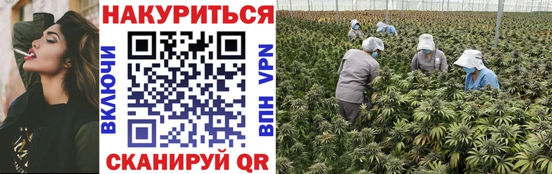 Каннабис Bruce Banner  mega вход  Чадан 